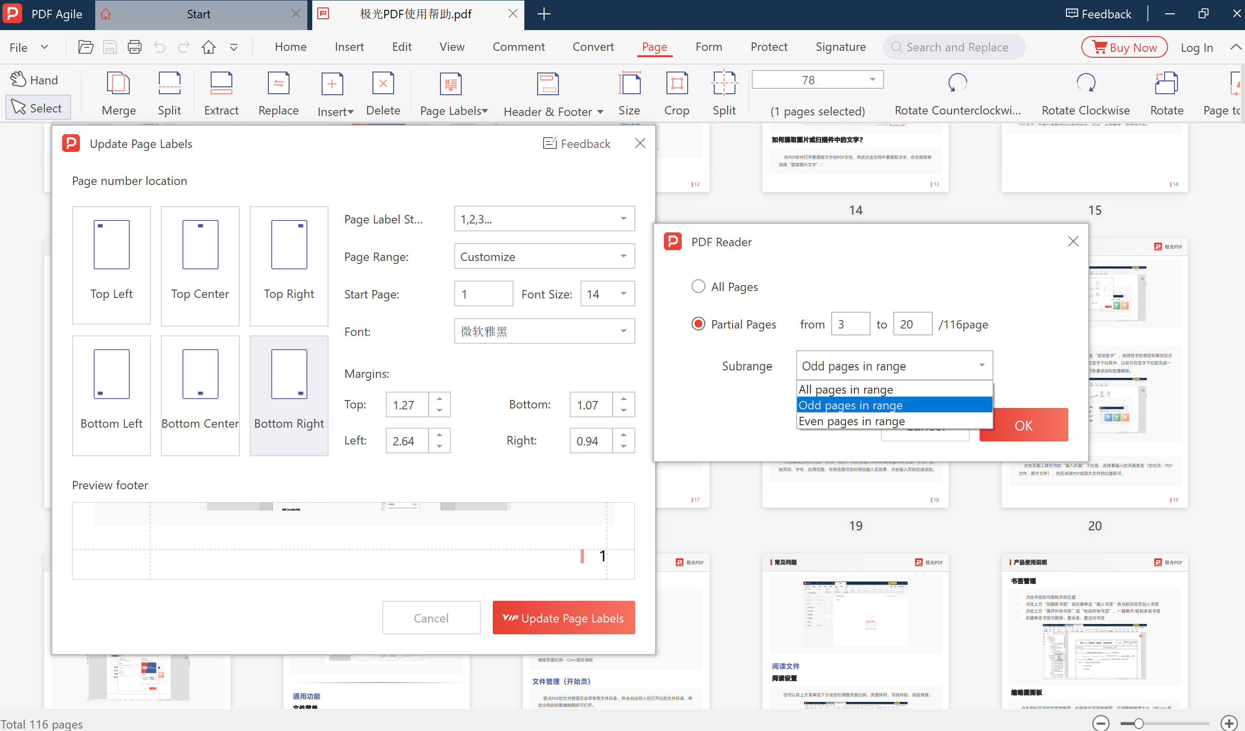 PDF Agile Update Page Labels dialog